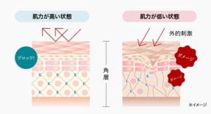 イミニリペアセラムの効果